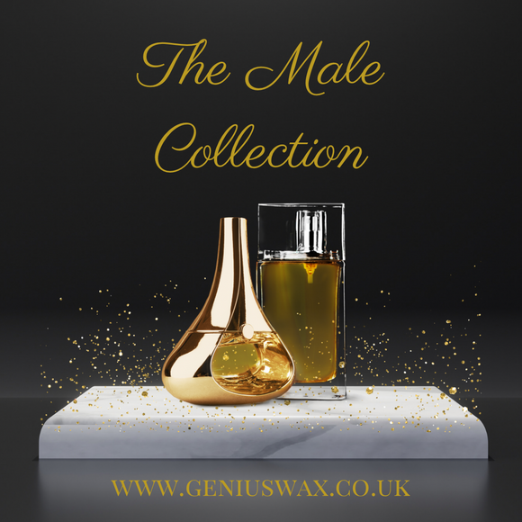 The Male Collection